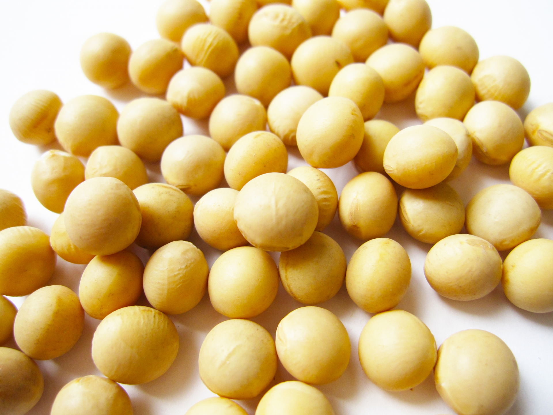黄豆这样做最营养，教你5种黄豆的特色做法，每种都美味又馋人！ - 知乎
